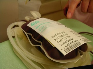 01-01.jpg