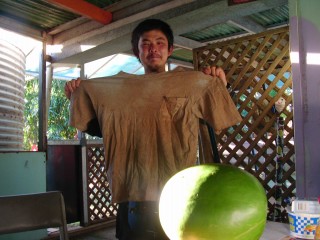 01_01.jpg