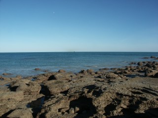 11_01.jpg